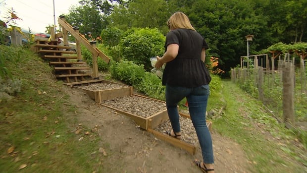 Local man sidesteps city's wishes, builds his own staircase at Etobicoke park