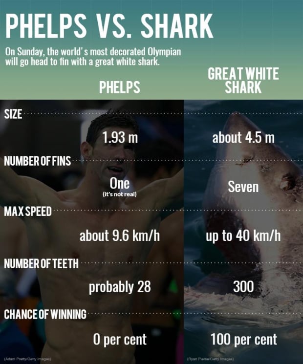 Michael Phelps Shark Infographic