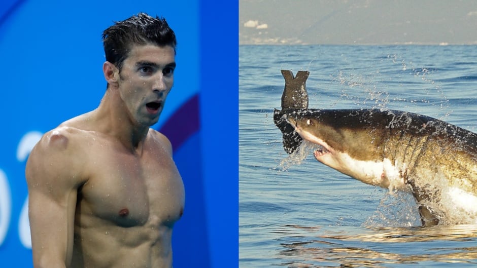 As part of Discovery Channel's Shark Week, Olympian Michael Phelps will take on his fiercest opponent: a great white shark.