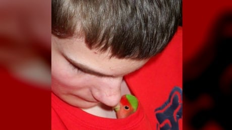 Ken Bayne has been away from his lovebird, Charlie, for 12 days. The Bayne family were not able to return to their house and take their pets after they were forced to evacuate while out of town. Bayne family lovebird