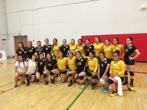 team-naig