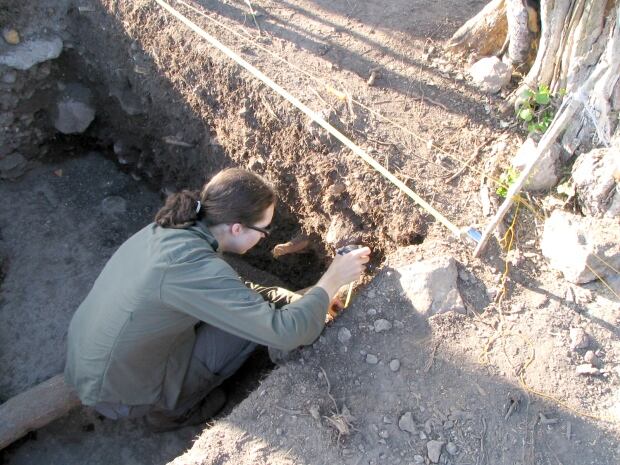 Mayan bones