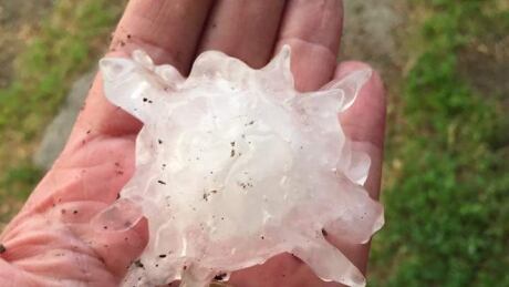 Alexander, a community just west of Brandon, had hail the size of walnuts and eggs, Environment Canada reports. Hail in Alexander