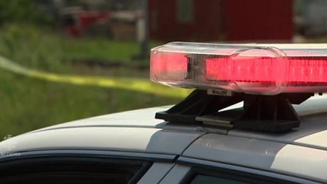 Police investigate shooting