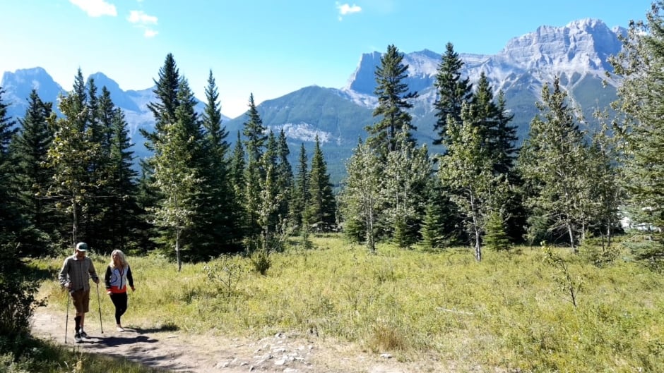 A wooded walking trail in Canmore, Alta.