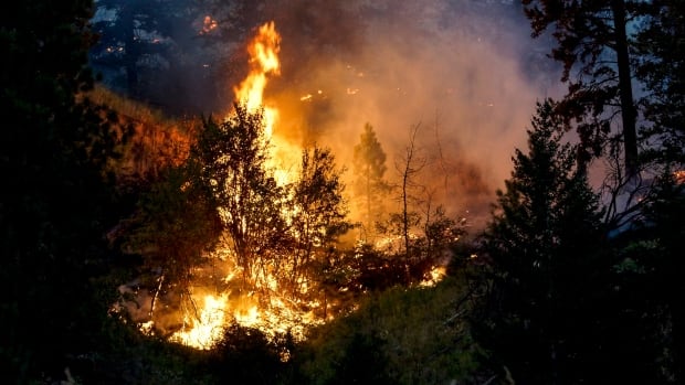 Monte Lake wildfire