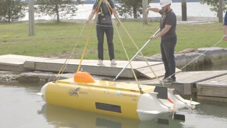Thunderfish AUV