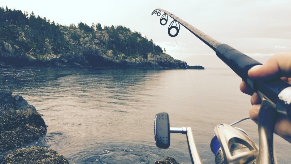 The study from the university of Illinois tested what qualities of large mouth bass affected whether or not they would bite a hook.