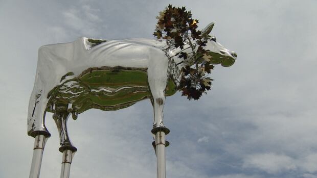 Charity cow