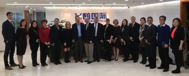 Feihe Team Kingston