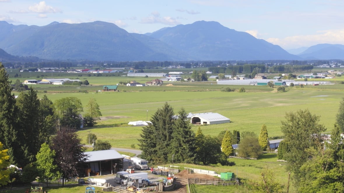 Abbotsford approves bid for removing farmland protection British