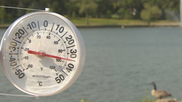 Heat warnings issued for Kenora and area, putting vulnerable people at risk