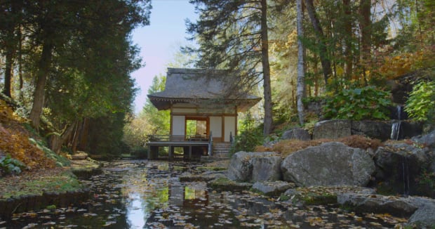 Asian Garden