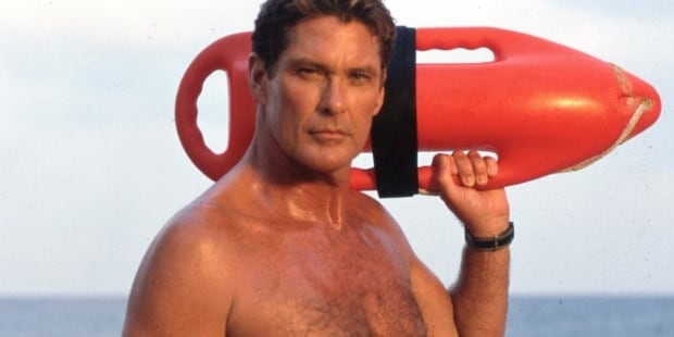 The Hoff