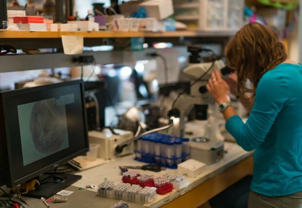 Meghan Owings at UNH lab