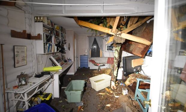 Cottage damage