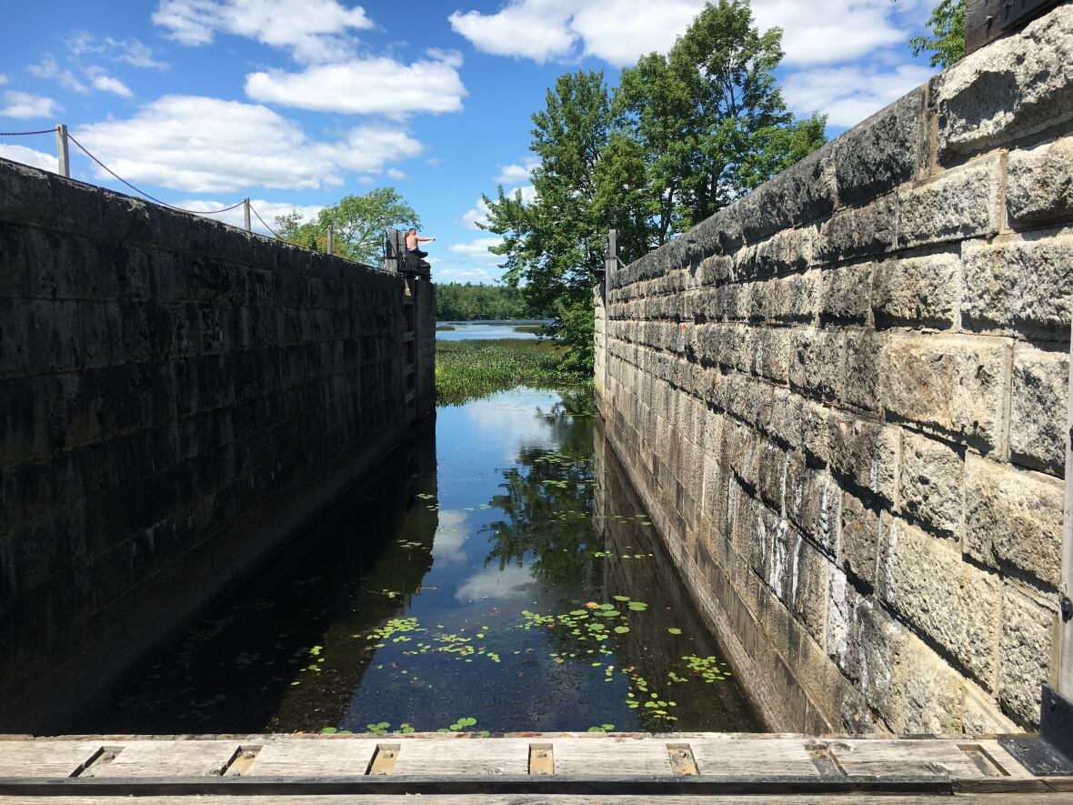 'It didn't feel like Nova Scotia' Man swims 115 km in Shubenacadie