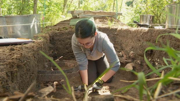 Mill Creek dig