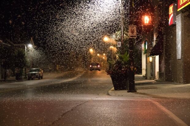 Gail MacLellan street light