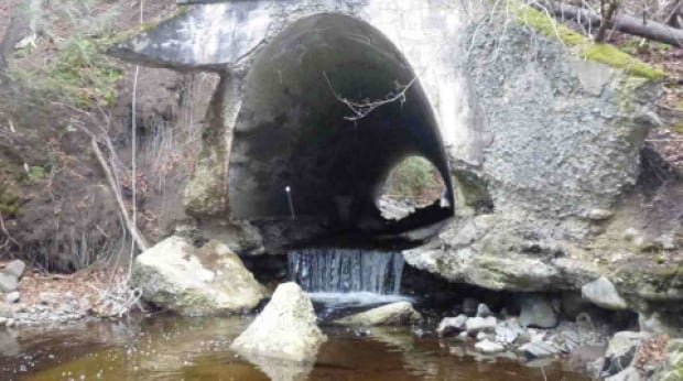 McIntosh Brook, Fredericton