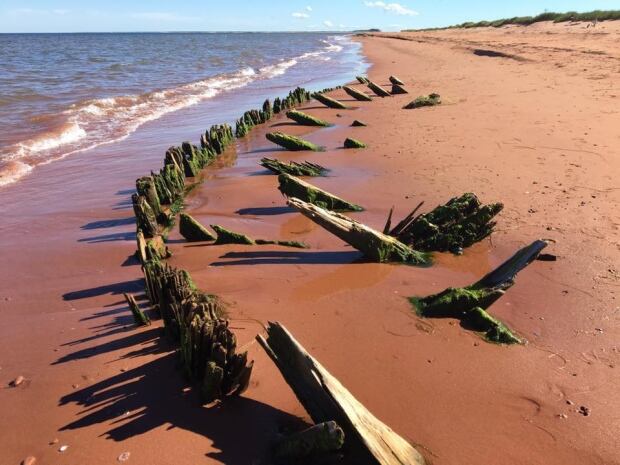 Shipwood