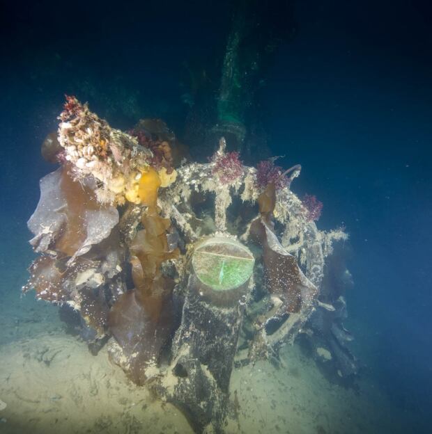 HMS Terror helm
