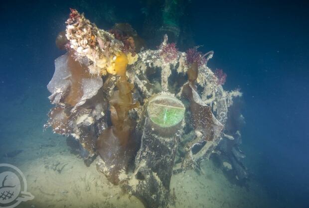 HMS Terror helm