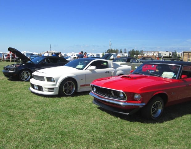 Cruise to the Shore