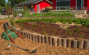 Dustin Doerntlein garden