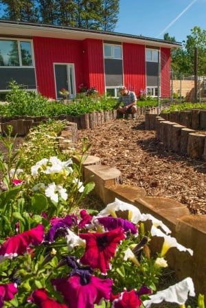 Dustin Doerntlein garden