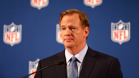 NFL commissioner Roger Goodell says he wishes players would stand for the national anthem, but said he respects their right to express their opinion about civil rights issues. goodell-roger-nfl