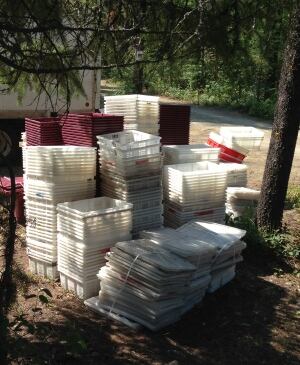 Buckets for berry picking