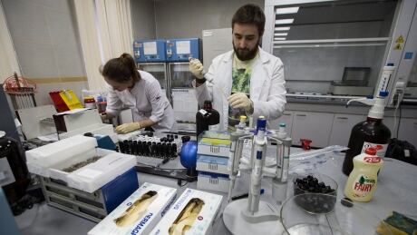 File photo of RUSADA drug-testing laboratory in Moscow. Russia is touting their reformed testing, eager to distance themselves from past transgressions. russian-doping