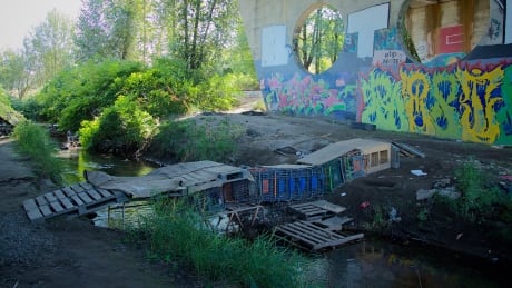 Nearly a dozen shopping carts were lined together underneath a bridge in Abbotsford, B.C., to create a bridge for homeless people who camp in the area. shopping cart bridge