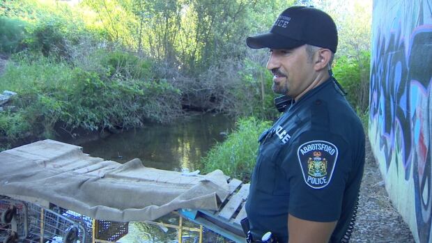 pat kelly shopping cart bridge abbotsford