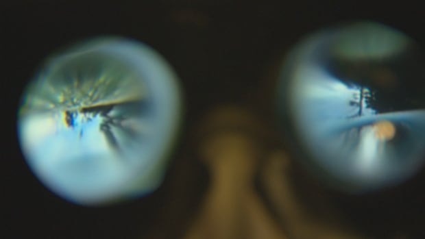 Virtual reality goggles