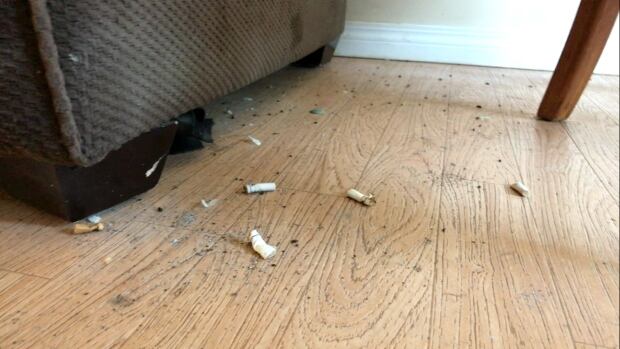 Jennifer Leeming Calgary landlord damage