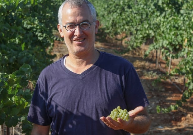 amichai