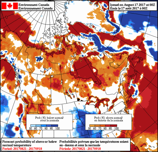 Monthly Outlook