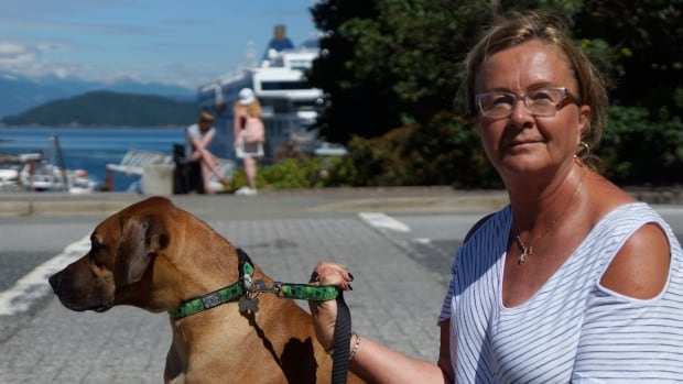 Ferry dog