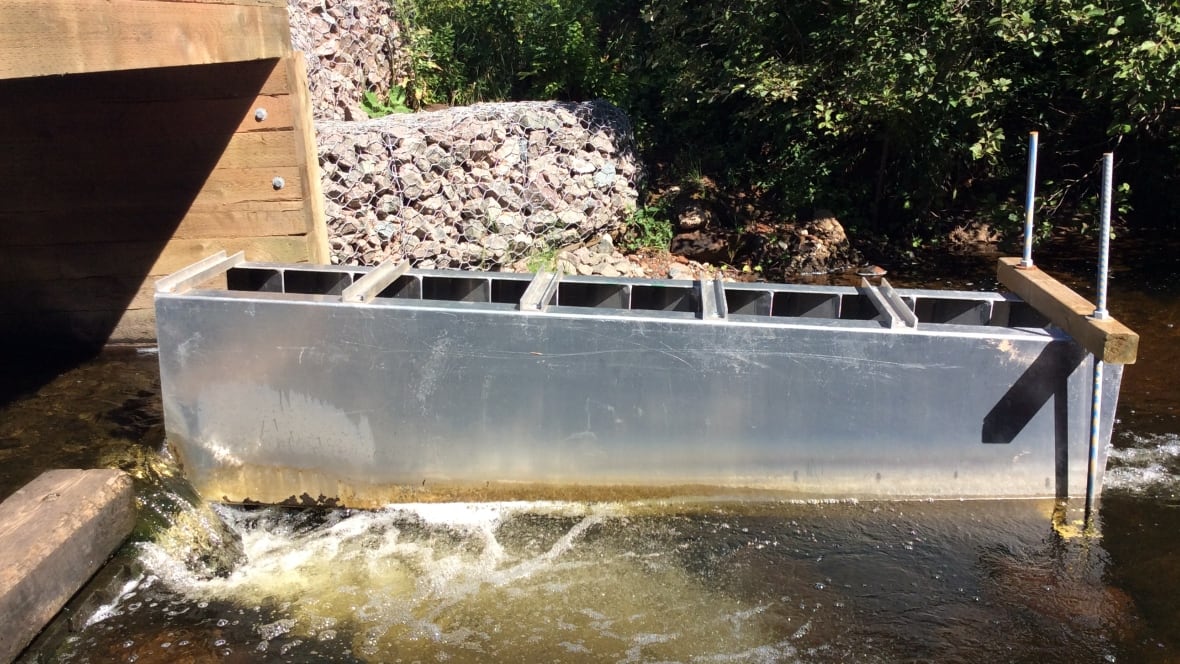 A fishy invention Souris wildlife group designs new fish ladder