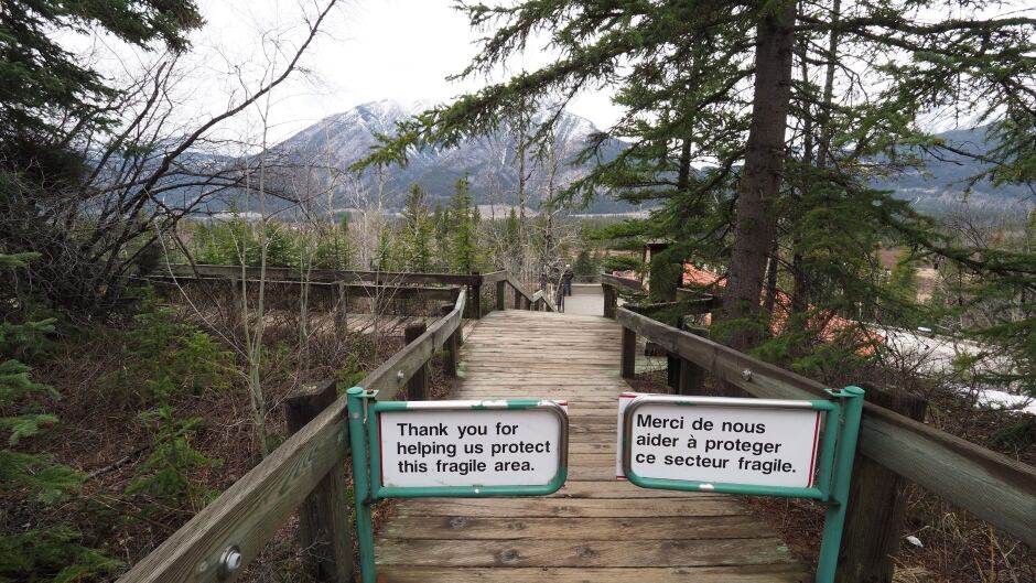According to Harvey Locke, Canada is a “laggard” when compared to other countries around the world in terms of ecosystem protection and conservation.