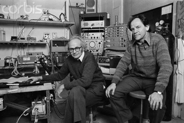 David Hubel and Torsten Wiesel