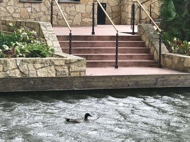 Riverwalk