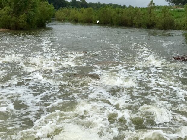 San Antonio River-2