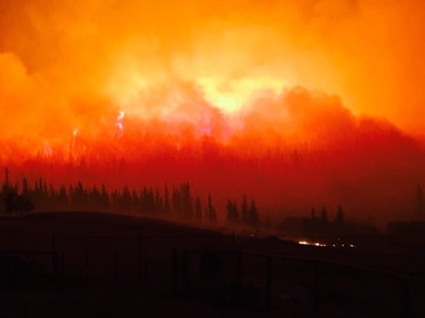 Williams Lake Fire