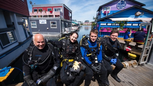 arctic dive team