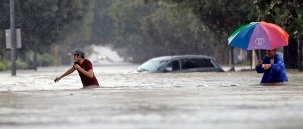 Harvey