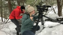 reel shorts 2017 still