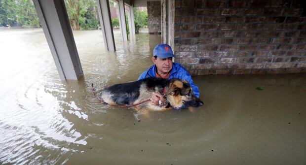 Harvey